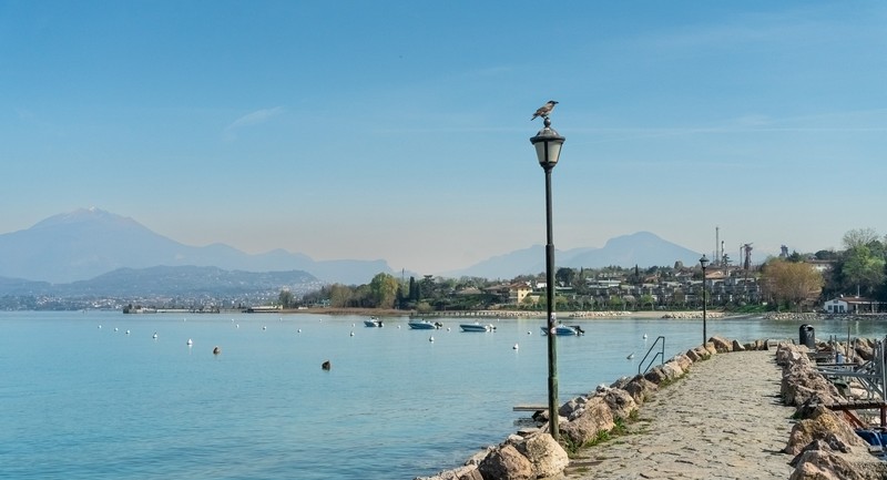 Le Terrazze di Nicola Marconi | Location & news